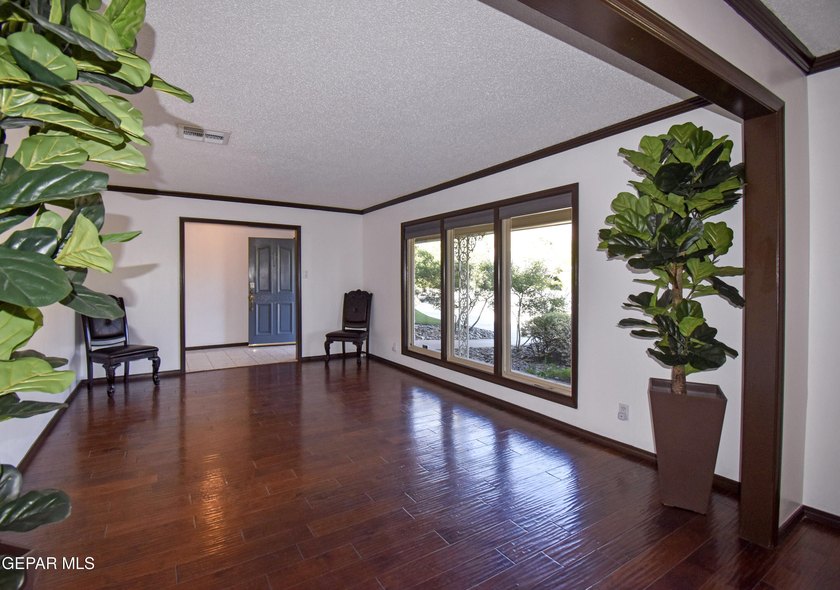 A rare opportunity to own a classic Coronado Country Club estate - photo 24