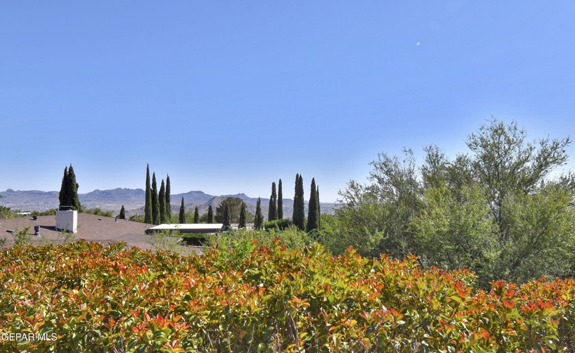 A rare opportunity to own a classic Coronado Country Club estate - photo 50