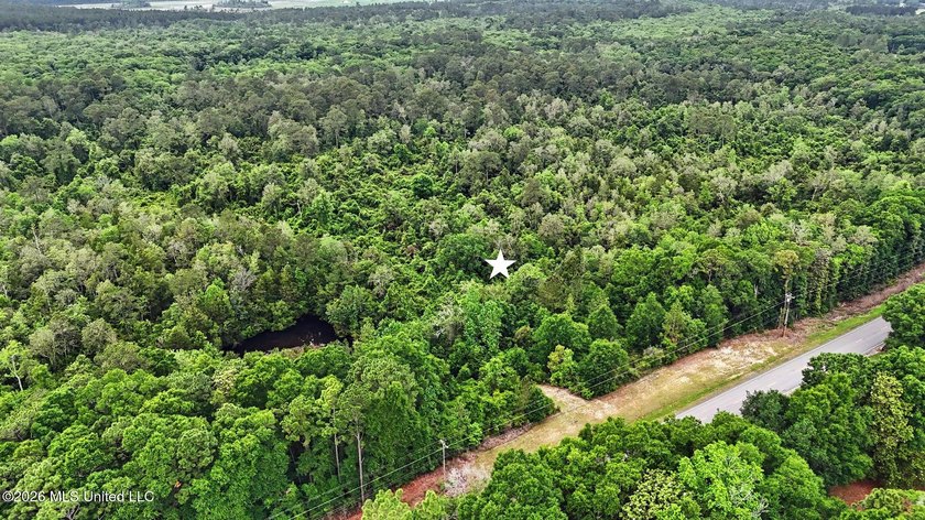 Just over 4 acres ready for you to make it your - photo 2