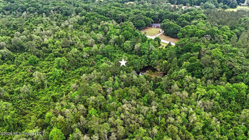 Just over 4 acres ready for you to make it your - photo 4