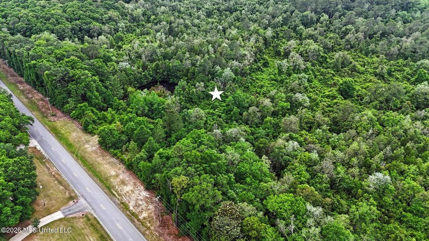 Just over 4 acres ready for you to make it your - photo 8