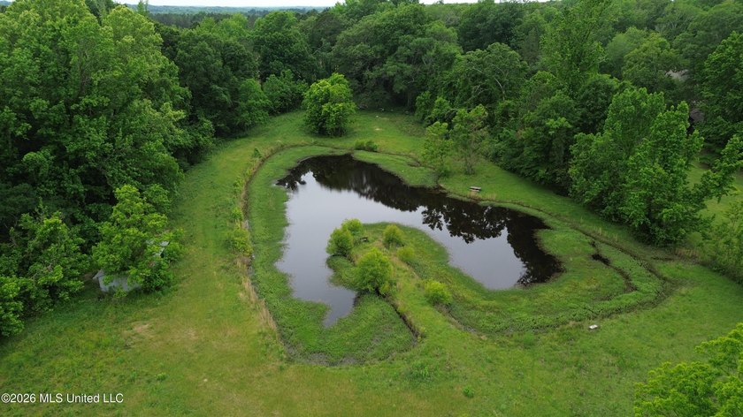 If you are looking for land to build your dream home, look no - photo 6