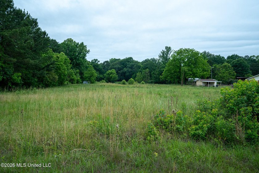 If you are looking for land to build your dream home, look no - photo 8