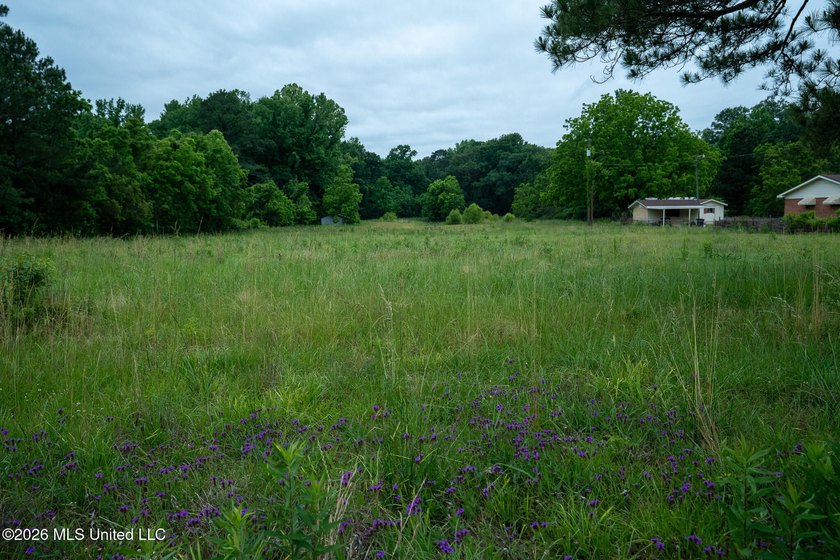 If you are looking for land to build your dream home, look no - photo 9