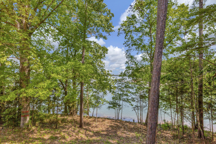 Lakefront Condo SOLD - photo 2