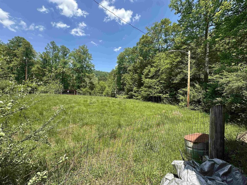 Bring your vision to this spacious 4-bedroom, 2-bath - photo 25