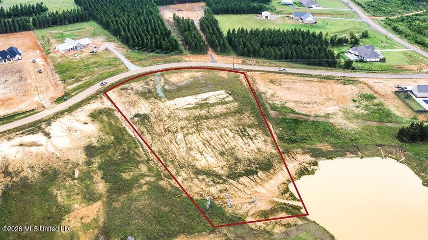 Escape to peaceful country living with this beautiful 3.43 acre - photo 3