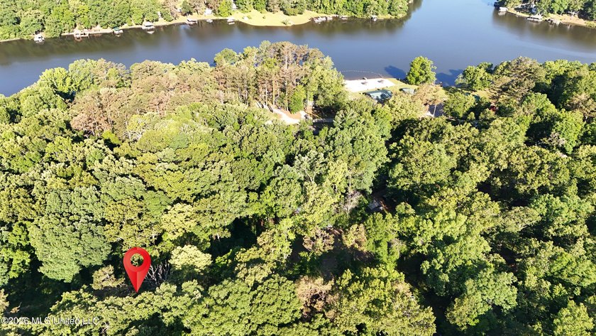 Located in the desirable Snow Lake Shores community, this 0 - photo 3