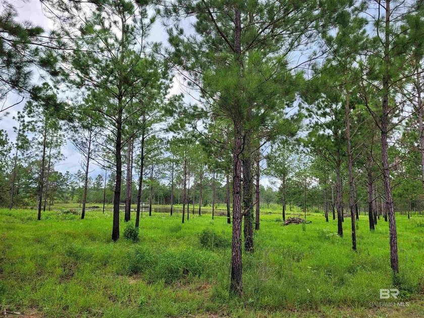 New Price - Exceptional Opportunity!Well-maintained, unzoned - photo 4