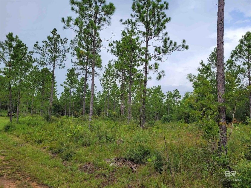 New Price - Exceptional Opportunity!Well-maintained, unzoned - photo 5