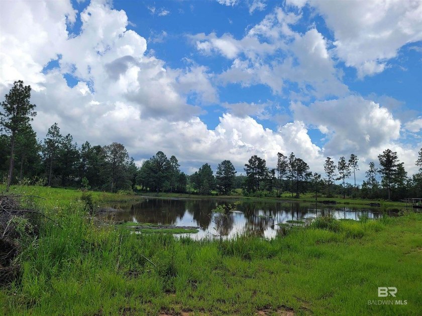 New Price - Exceptional Opportunity!Well-maintained, unzoned - photo 6