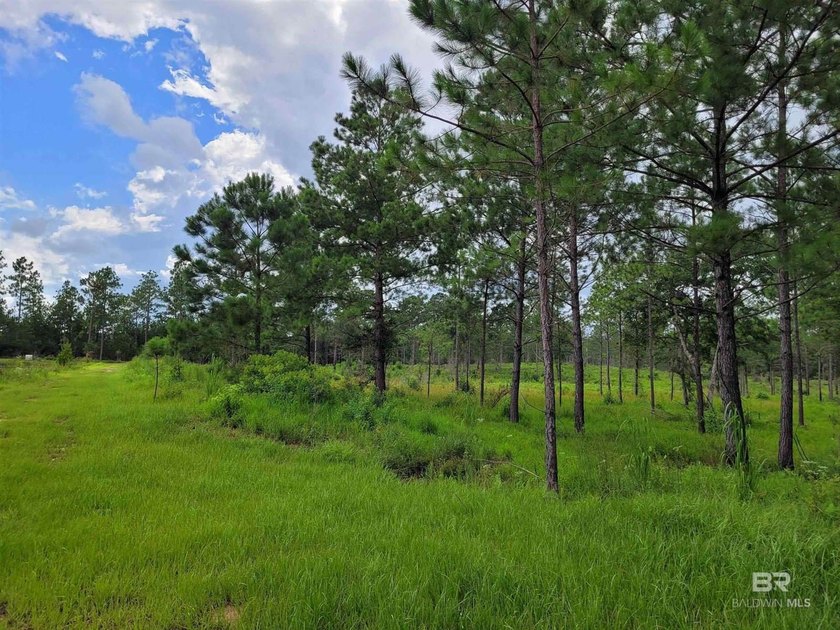 New Price - Exceptional Opportunity!Well-maintained, unzoned - photo 7