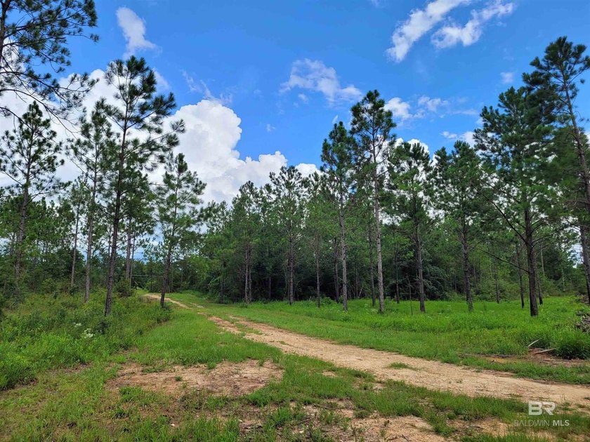 New Price - Exceptional Opportunity!Well-maintained, unzoned - photo 9