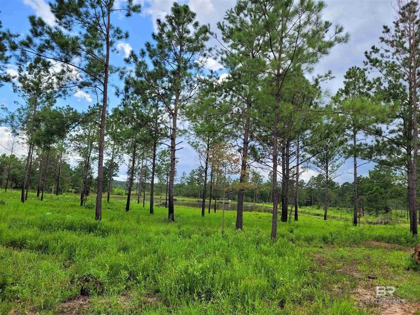 New Price - Exceptional Opportunity!Well-maintained, unzoned - photo 10