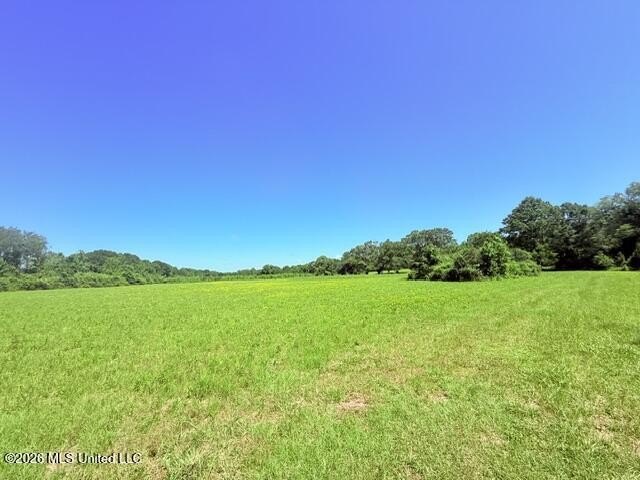 20.63 Acres located on Union Creek Road in Magnolia, MS with - photo 2