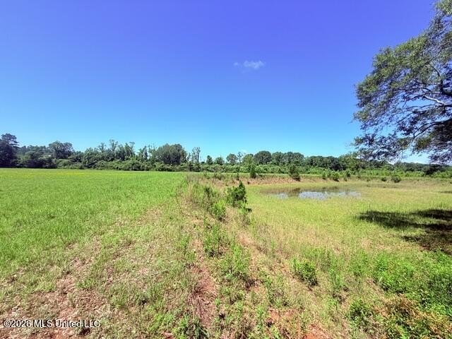 20.63 Acres located on Union Creek Road in Magnolia, MS with - photo 5