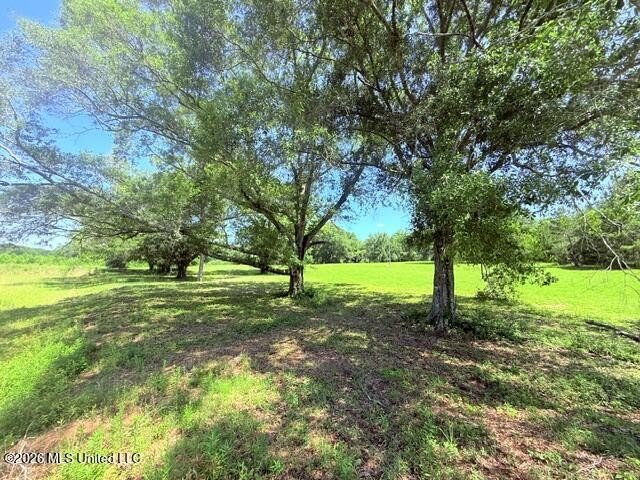 20.63 Acres located on Union Creek Road in Magnolia, MS with - photo 6