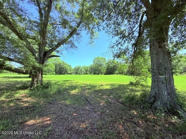 20.63 Acres located on Union Creek Road in Magnolia, MS with - photo 7