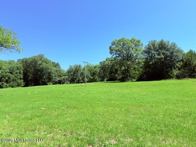 20.63 Acres located on Union Creek Road in Magnolia, MS with - photo 8