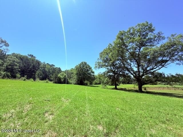 20.63 Acres located on Union Creek Road in Magnolia, MS with - photo 10