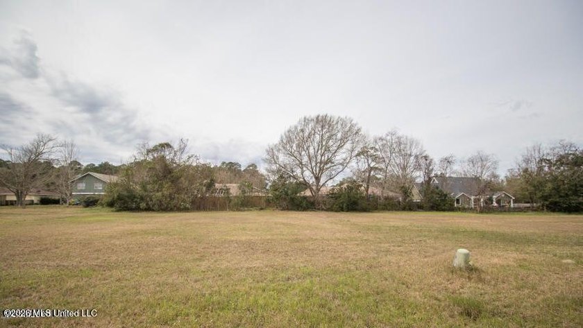Located in the desirable Goose Pointe Subdivision. Build your - photo 3