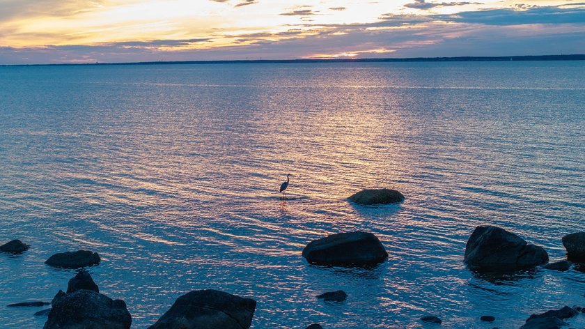 This stunning waterfront home is nestled within a coveted North - photo 33