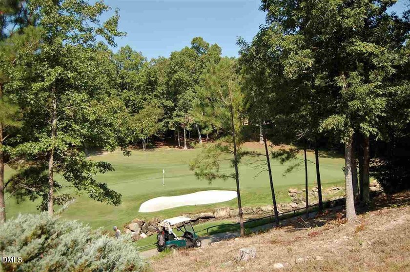 ON THE 4th HOLE ON GOLF COURSE! BREATHTAKING VIEWS! PRIMARY BR - photo 8