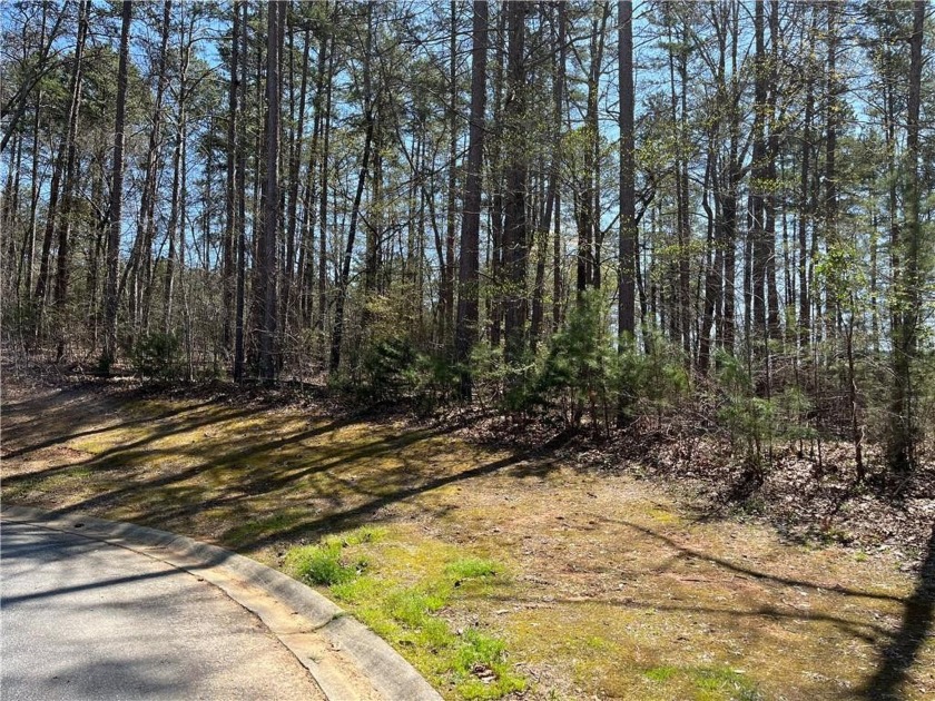 Lot 29 Pointe Harbor - Pointe East Drive, Seneca, SC 29672, 2543850