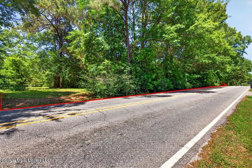Gorgeous Acreage * Partially Cleared * Residential Estate Zoning - photo 3