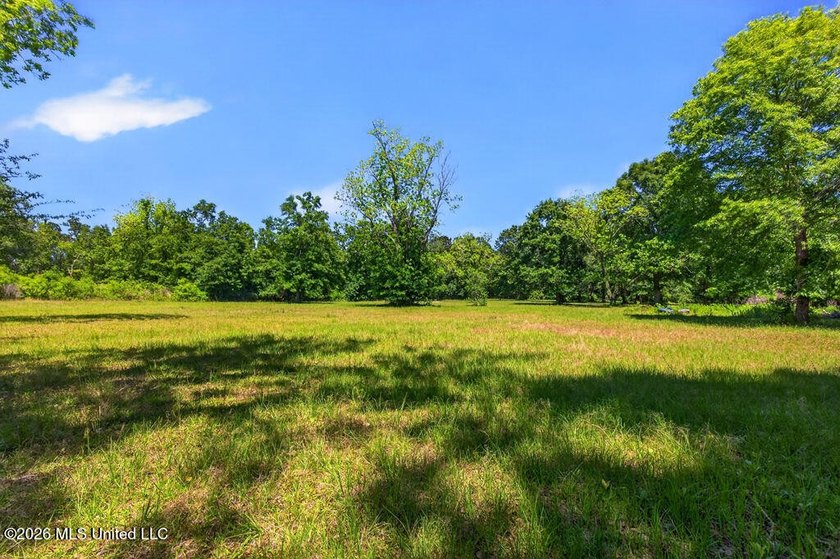 Gorgeous Acreage * Partially Cleared * Residential Estate Zoning - photo 7