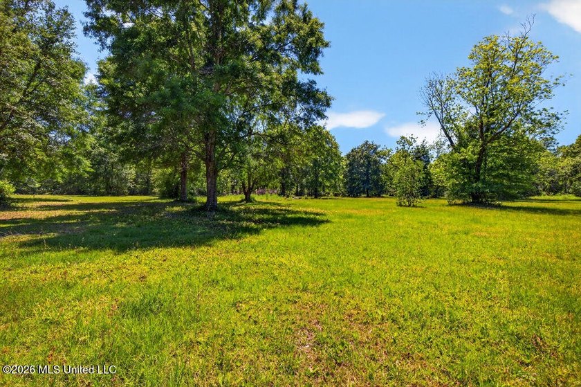 Gorgeous Acreage * Partially Cleared * Residential Estate Zoning - photo 9