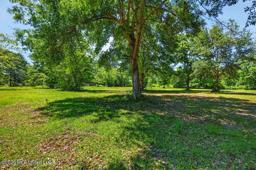 Gorgeous Acreage * Partially Cleared * Residential Estate Zoning - photo 10