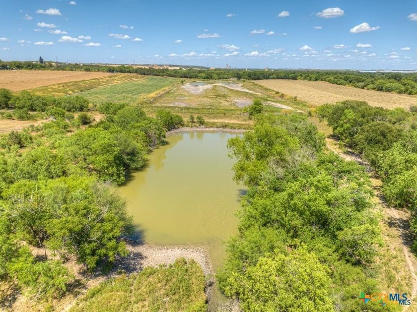 20 Acres of Ag-Exempt Land on Old Nacogdoches Road Discover a - photo 11