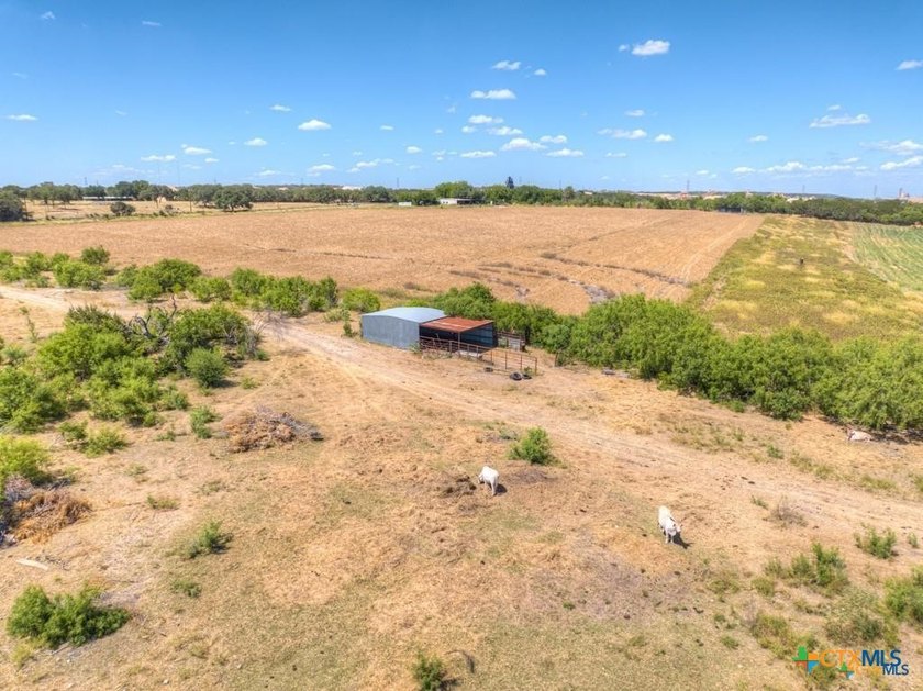 20 Acres of Ag-Exempt Land on Old Nacogdoches Road Discover a - photo 12