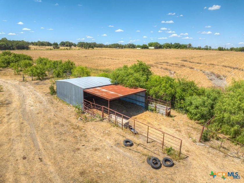 20 Acres of Ag-Exempt Land on Old Nacogdoches Road Discover a - photo 13