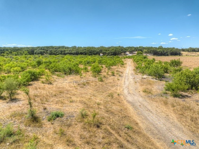 20 Acres of Ag-Exempt Land on Old Nacogdoches Road Discover a - photo 15