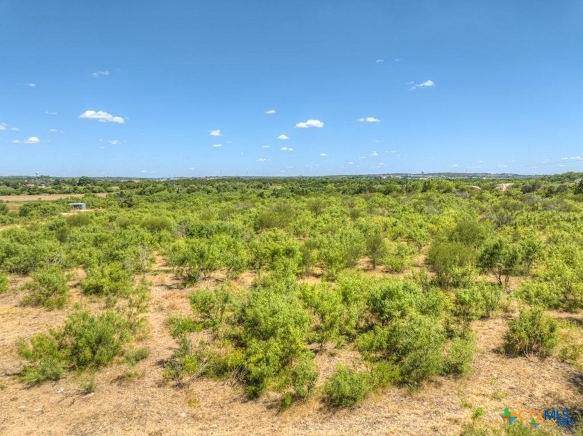 20 Acres of Ag-Exempt Land on Old Nacogdoches Road Discover a - photo 16