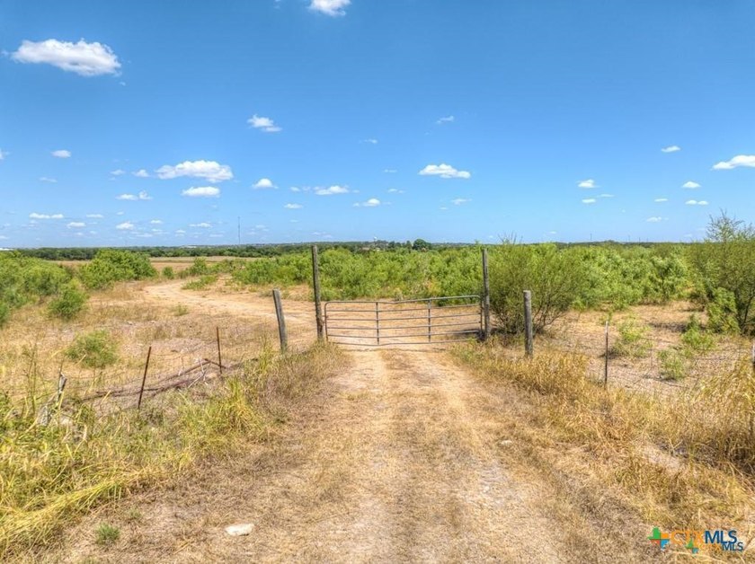 20 Acres of Ag-Exempt Land on Old Nacogdoches Road Discover a - photo 17