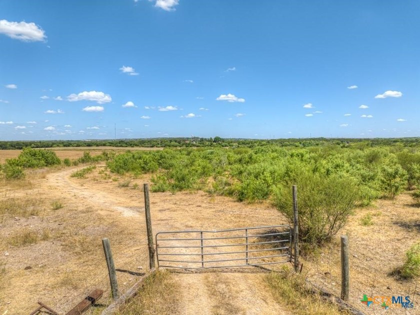 20 Acres of Ag-Exempt Land on Old Nacogdoches Road Discover a - photo 18