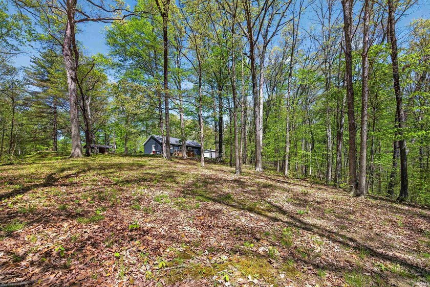 LAKE MONROE! GREAT FAMILY HOME, SUMMER LAKE HOUSE, OR TURN-KEY - photo 26