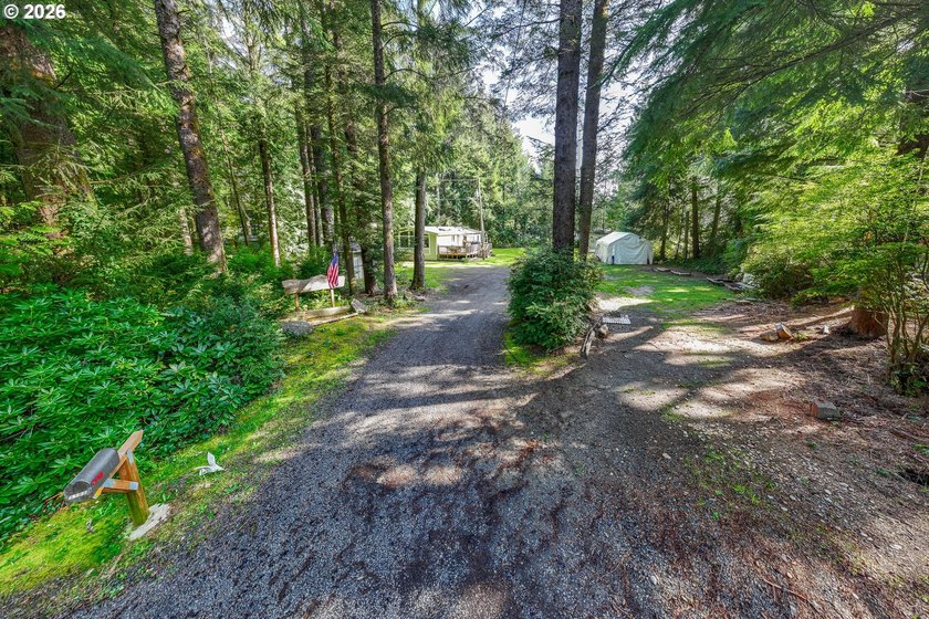 Surrounded with lush trees and shrubs in a beautiful deep - photo 2
