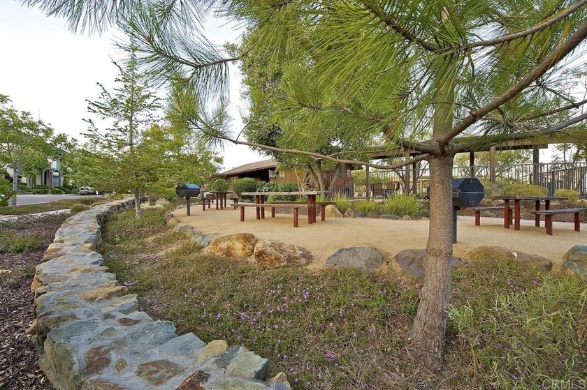 Located in the highly desirable Sur 33 community of Del Sur - photo 41