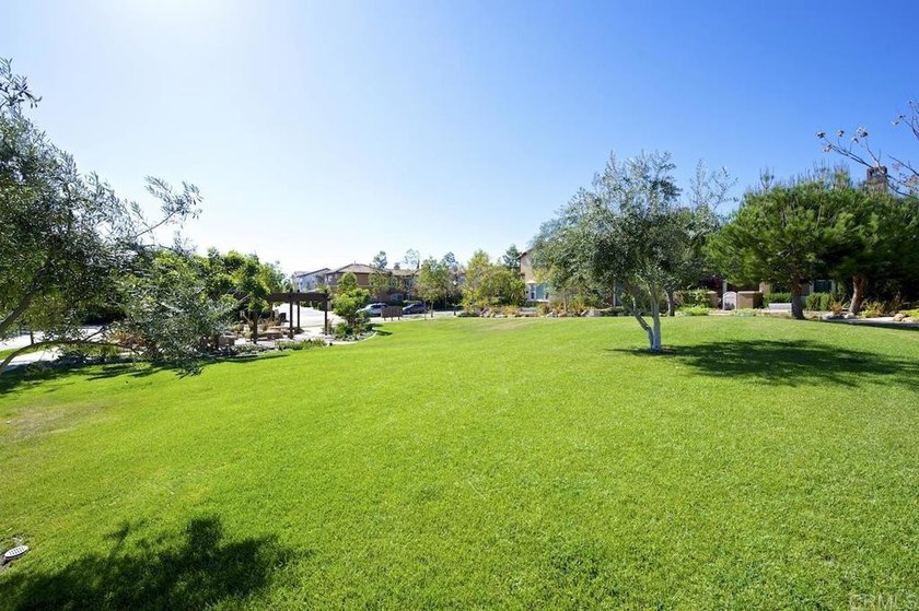 Located in the highly desirable Sur 33 community of Del Sur - photo 43