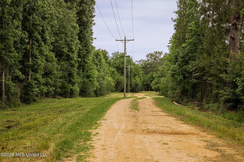 Land for sale in Amite County, MS. This beautiful 161-acre tract - photo 2