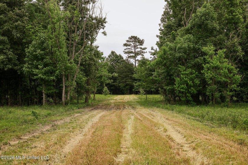 Land for sale in Amite County, MS. This beautiful 161-acre tract - photo 6