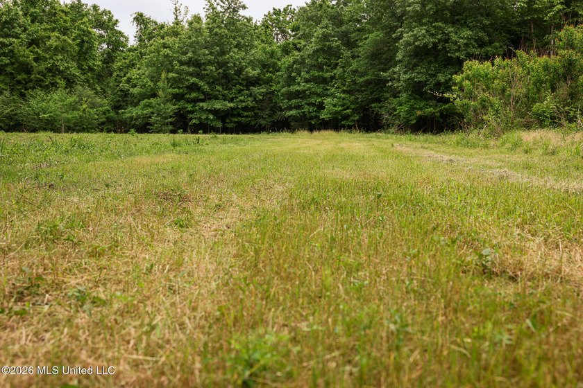 Land for sale in Amite County, MS. This beautiful 161-acre tract - photo 9