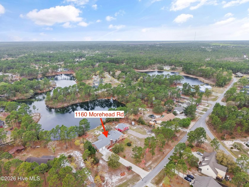 This renovated 3-bedroom, 2-bath ranch features a chef's kitchen - photo 46