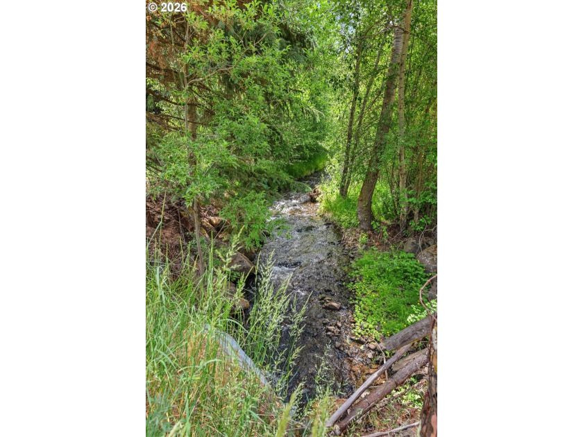 A rare legacy property on the Wallowa Mountain Loop Road, this - photo 12