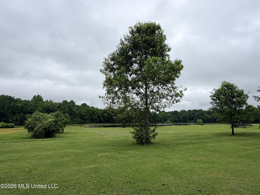 This offering is incredibly located on a primary arterial road - photo 16