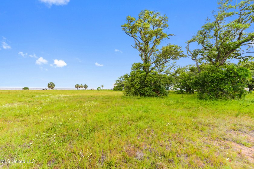 Unlock the potential of 3.9 acres of prime commercial land in - photo 17
